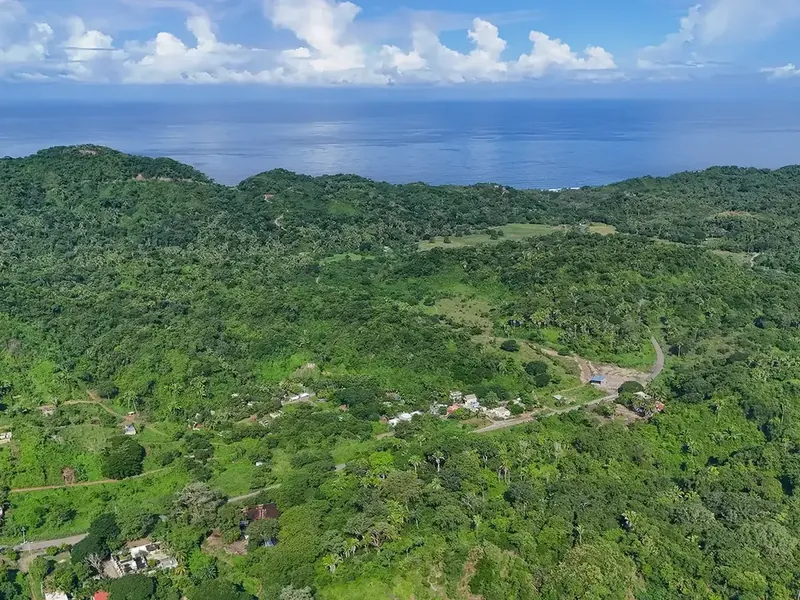 Jungle hills of Higuera Blanca running down to the sea