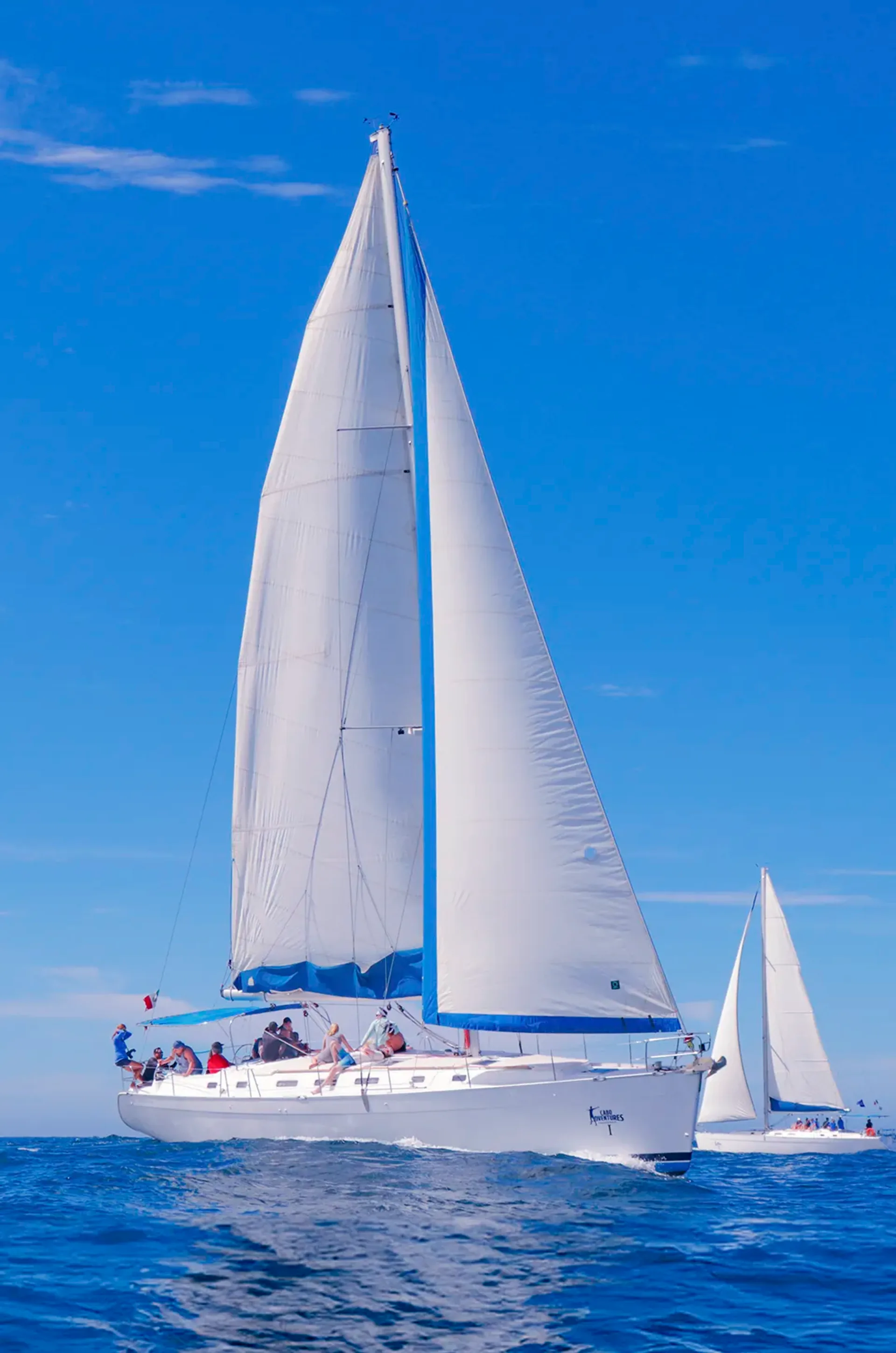 Leopard 46' Sailing Catamaran, photo 10